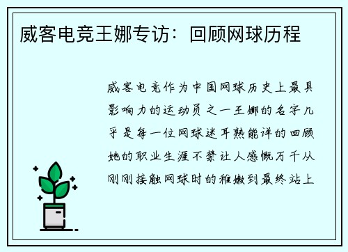 威客电竞王娜专访：回顾网球历程