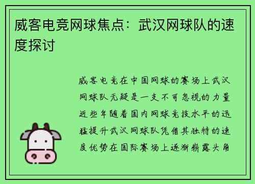 威客电竞网球焦点：武汉网球队的速度探讨