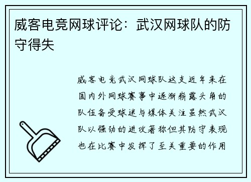 威客电竞网球评论：武汉网球队的防守得失