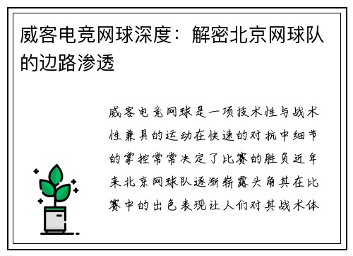 威客电竞网球深度：解密北京网球队的边路渗透