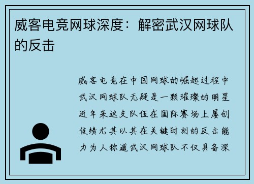 威客电竞网球深度：解密武汉网球队的反击