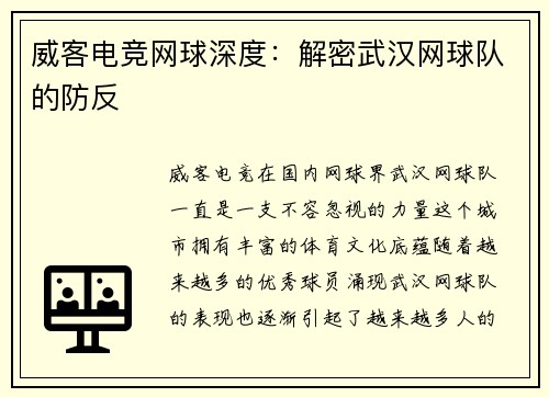 威客电竞网球深度：解密武汉网球队的防反