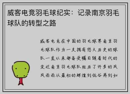 威客电竞羽毛球纪实：记录南京羽毛球队的转型之路