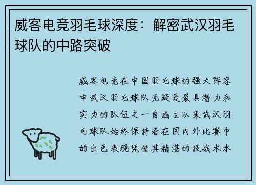威客电竞羽毛球深度：解密武汉羽毛球队的中路突破