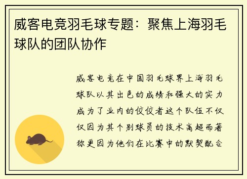 威客电竞羽毛球专题：聚焦上海羽毛球队的团队协作