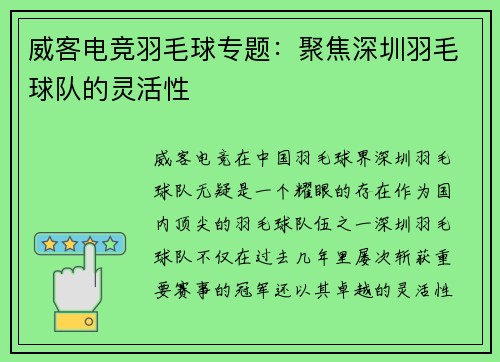 威客电竞羽毛球专题：聚焦深圳羽毛球队的灵活性