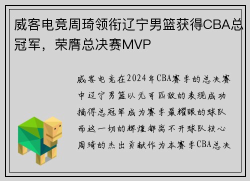 威客电竞周琦领衔辽宁男篮获得CBA总冠军，荣膺总决赛MVP