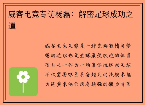 威客电竞专访杨磊：解密足球成功之道