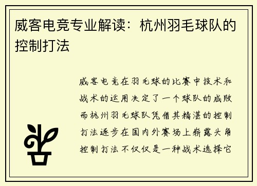 威客电竞专业解读：杭州羽毛球队的控制打法