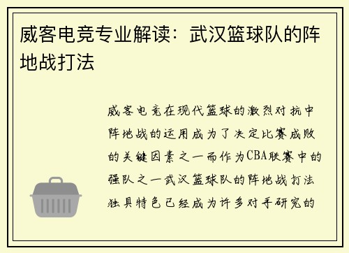 威客电竞专业解读：武汉篮球队的阵地战打法