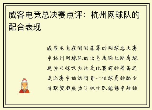 威客电竞总决赛点评：杭州网球队的配合表现