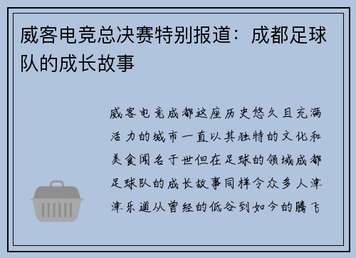 威客电竞总决赛特别报道：成都足球队的成长故事