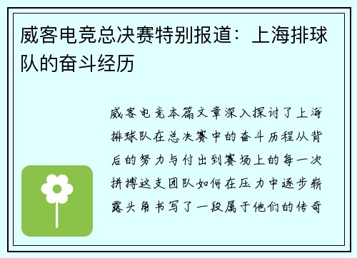 威客电竞总决赛特别报道：上海排球队的奋斗经历