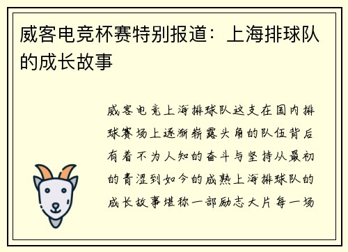 威客电竞杯赛特别报道：上海排球队的成长故事