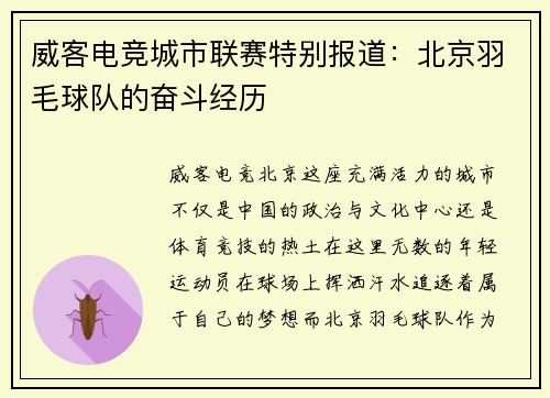 威客电竞城市联赛特别报道：北京羽毛球队的奋斗经历