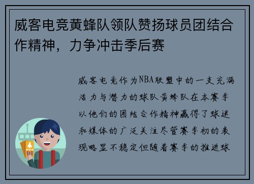 威客电竞黄蜂队领队赞扬球员团结合作精神，力争冲击季后赛