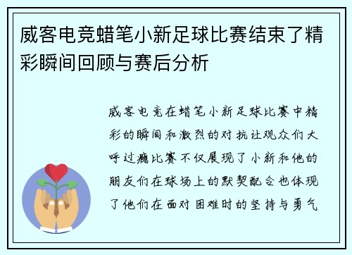 威客电竞蜡笔小新足球比赛结束了精彩瞬间回顾与赛后分析