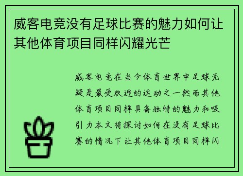 威客电竞没有足球比赛的魅力如何让其他体育项目同样闪耀光芒