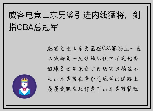 威客电竞山东男篮引进内线猛将，剑指CBA总冠军
